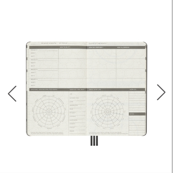 Moleskine Limited Edition Smiley Positivity in Motion-Undated Planner - Picture 4 of 13
